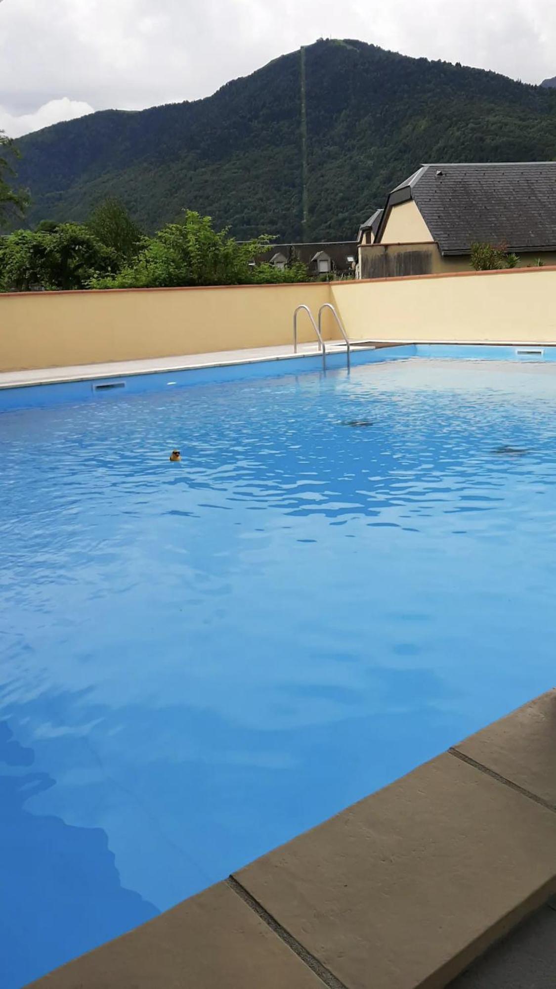 Appart T 3 Bagneres-De-Luchon Vue Montagne - Piscine Mi Juin Екстериор снимка